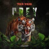 TIGER DROOL - PREY