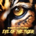 Nic Johnston, MeSSy & Max Niklas - Eye Of The Tiger (Extended Mix)