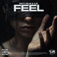 Dirty Palm & Ilse - Feel