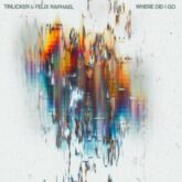 Tinlicker & Felix Raphael - Where Did I Go