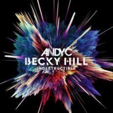 Andy C & Becky Hill - Indestructible