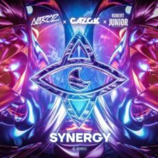 Narcyz & Cazok & Robert Junior - Synergy (Extended Mix)