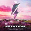 Tweekacore & Joey Riot - Way Back Home