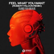 Floris van Oranje - Feel What You Want (Robert Falcon Remix)