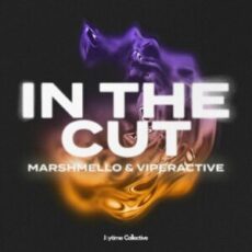 Marshmello & Viperactive - In The Cut