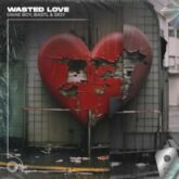 Swae Boy, BASTL & SRJY - Wasted Love (Extended Mix)