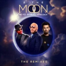 Pitbull & Ne-Yo & AFROJACK - 2 The Moon (The Remixes)