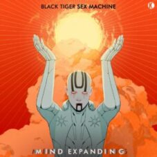 Black Tiger Sex Machine - Mind Expanding