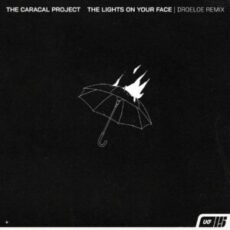 The Caracal Project - The lights on your face. (DROELOE Remix)