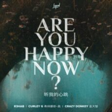 R3HAB & 希林娜依高 & Crazy Donkey - Are You Happy Now