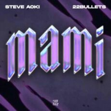 Steve Aoki & 22Bullets - Mami