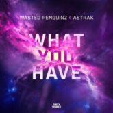 Wasted Penguinz & Astrak - What You Have