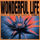 Luca Testa & Lotus - Wonderful Life (Extended Mix)