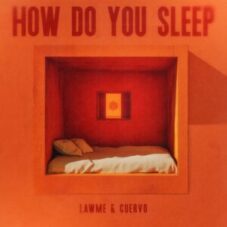 LAwMe & Cuervo - How Do You Sleep (Extended Mix)