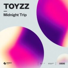 TOYZZ - Midnight Trip (Extended Mix)