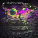 ANG, Cuebrick & Charles B & MSPUIYI - ALIENS ON ACID (Extended Mix)