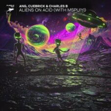 ANG, Cuebrick & Charles B & MSPUIYI - ALIENS ON ACID (Extended Mix)