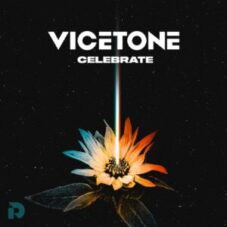 Vicetone - Celebrate