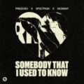 PREZIOSO x SP3CTRUM x Kickbait - Somebody That I Used To Know (Extended Mix)