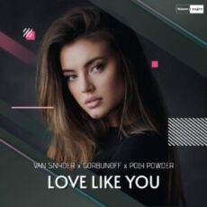 Van Snyder & Gorbunoff & Poly Powder - Love Like You (Extended Mix)