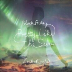 Lost Frequencies & Tom Odell - Black Friday (pretty like the sun) (Zerb Remix)