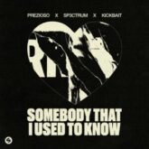 Prezioso x SP3CTRUM x Kickbait - Somebody That I Used To Know