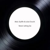 Alok, Gryffin & Julia Church - Never Letting Go