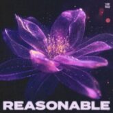 4B, Shotgun Knights & Reo Cragun - Reasonable