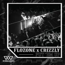 flozone & Crizzly - Put 'Em Up