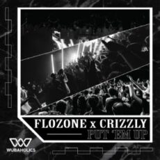 flozone & Crizzly - Put 'Em Up