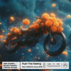 Alex Guesta, Nicola Fasano & Fatman Scoop feat. Salento Guys, RKN - Push The Feeling (Extended Mix)