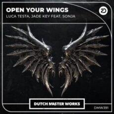 Luca Testa & Jade Key feat. Sonja - Open Your Wings