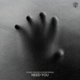 Robbie Mendez & Edwin Reiman - Need You