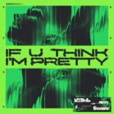 Level 8 & Ellister - if u think i'm pretty (Extended Mix)