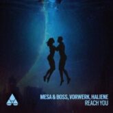 Vorwerk & Boss, Mesa, HALIENE - Reach You (Extended Mix)