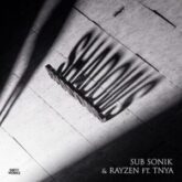 Sub Sonik & Rayzen ft. TNYA - Shadows