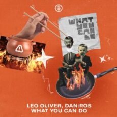 Leo Oliver, DAN:ROS - What You Can Do (Original Mix)