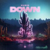 Dubio - Down (Extended Mix)