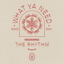 WeDamnz - The Rhythm (Extended Mix)