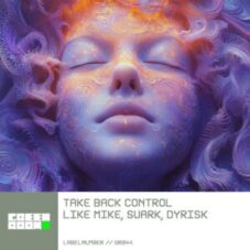 Like Mike, Suark, Dyrisk - Take Back Control (Extended Mix)