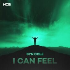 Syn Cole - I Can Feel