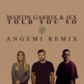 Martin Garrix & Jex - Told You So (ANGEMI Remix)