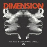 Vini Vici x Liquid Soul x Omiki - Dimension