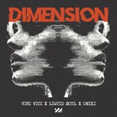 Vini Vici x Liquid Soul x Omiki - Dimension