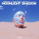 Prezioso x Keanu Silva x Adalwolf feat. Ninkid - Moonlight Shadow