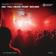 Zenemy Ft. OFFDATA - Did You Hear That Sound