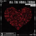 Timmy Trumpet & STVW - All The Small Things