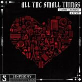 Timmy Trumpet & STVW - All The Small Things