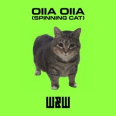 W&W - OIIA OIIA (Spinning Cat) (Extended Mix)