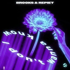 Brooks & Repiet - I Don't Wanna Know (Extended Mix)